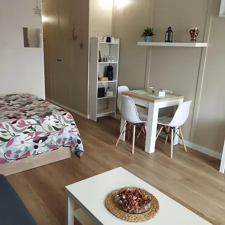 Apartmán Centrico Estudio En *