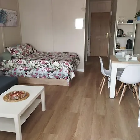 Апартаменты Centrico Estudio En