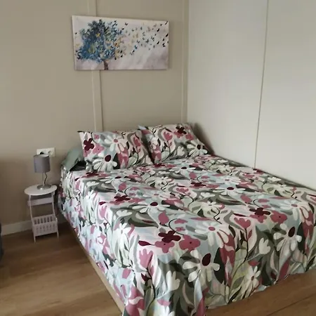 Centrico Estudio En *