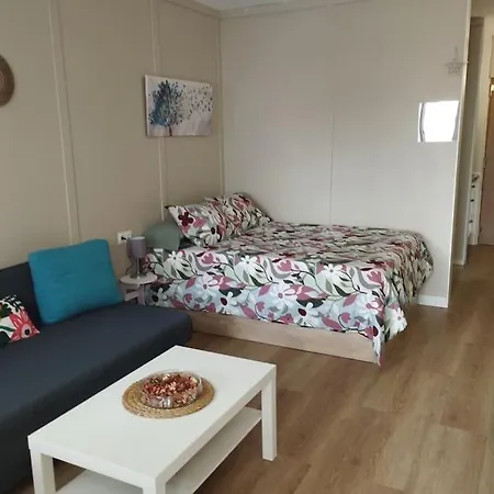 Апартаменты Centrico Estudio En